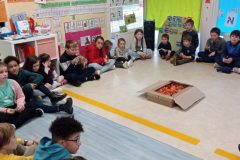 IMG_20221013_160842-scaled