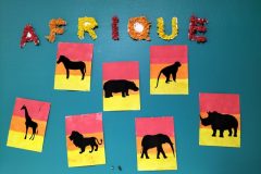 IMG20231114182612-3-scaled